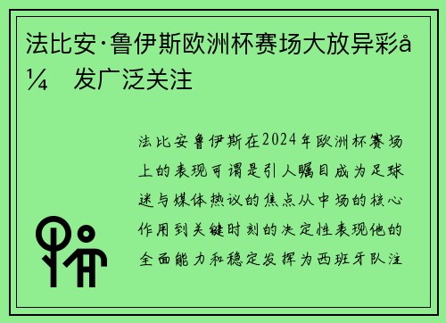 法比安·鲁伊斯欧洲杯赛场大放异彩引发广泛关注