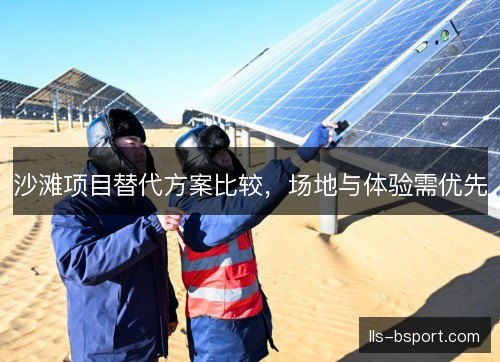 沙滩项目替代方案比较，场地与体验需优先